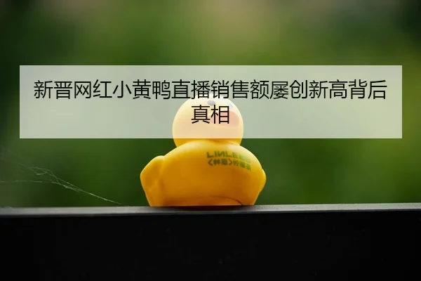 新晋网红小黄鸭直播销售额屡创新高背后真相